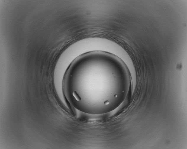 X0000090960468200708161819