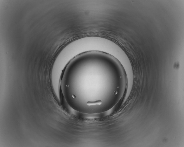 X0000090960470200708161819