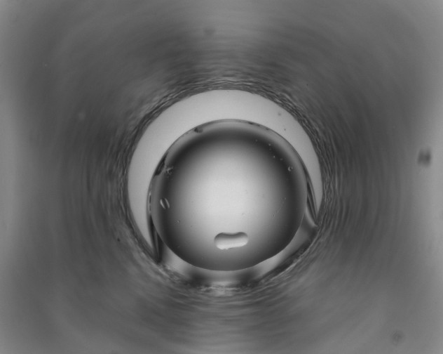X0000090960472200708161819