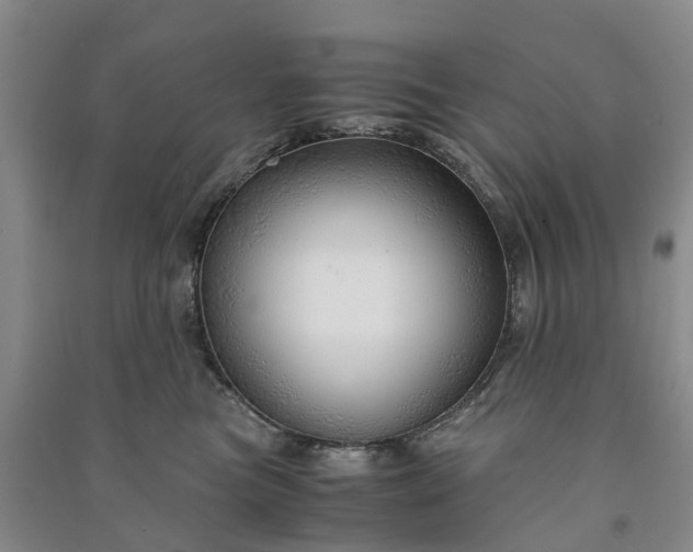X0000090960473200708161819
