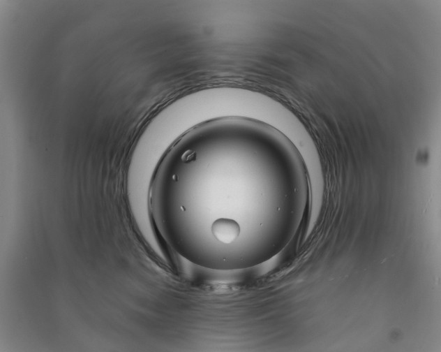 X0000090960474200708161819