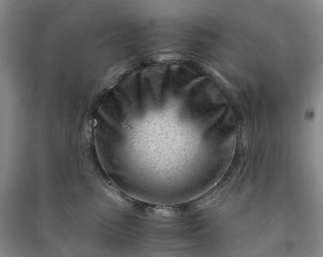 X0000090960475200708161819