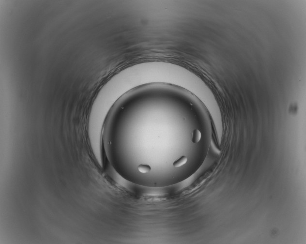 X0000090960476200708161819