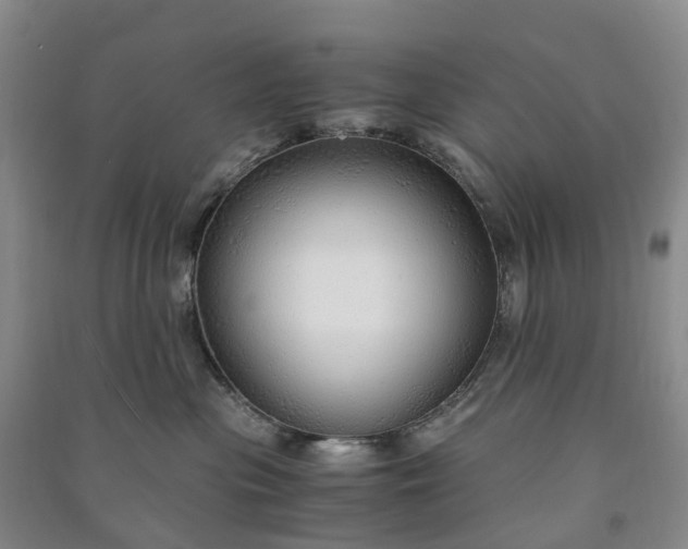 X0000090960477200708161819