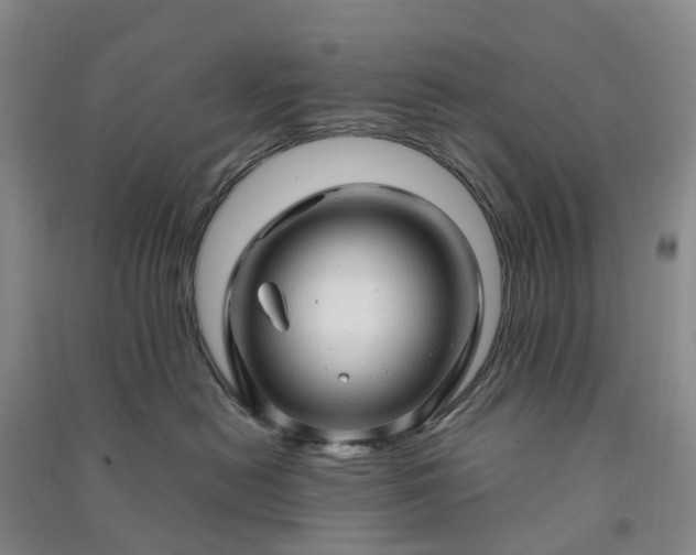 X0000090960478200708161819