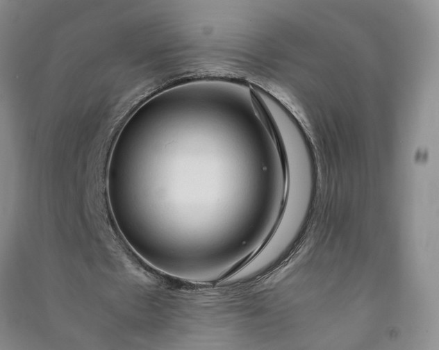 X0000090960481200708161818