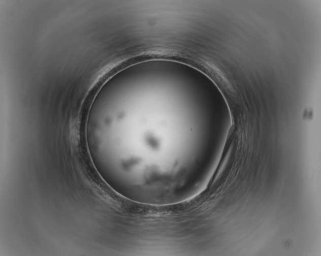 X0000090960484200708161818