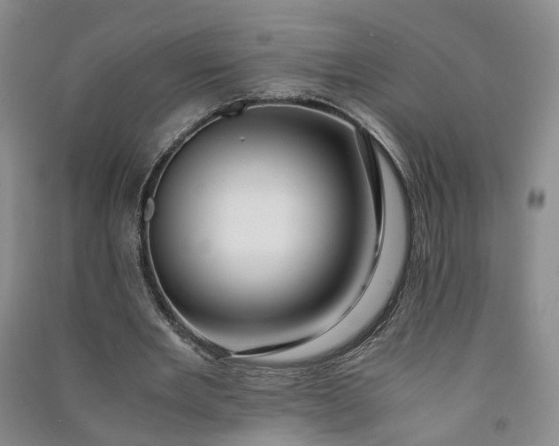 X0000090960485200708161818