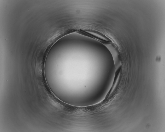 X0000090960489200708161818