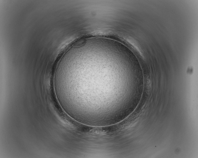 X0000090960491200708161818