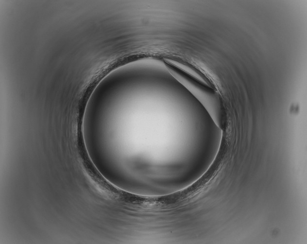 X0000090960493200708161818