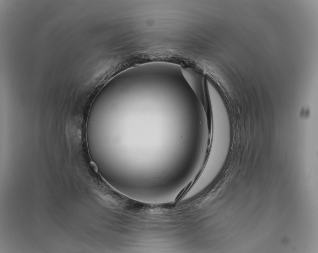 X0000090960501200708161818