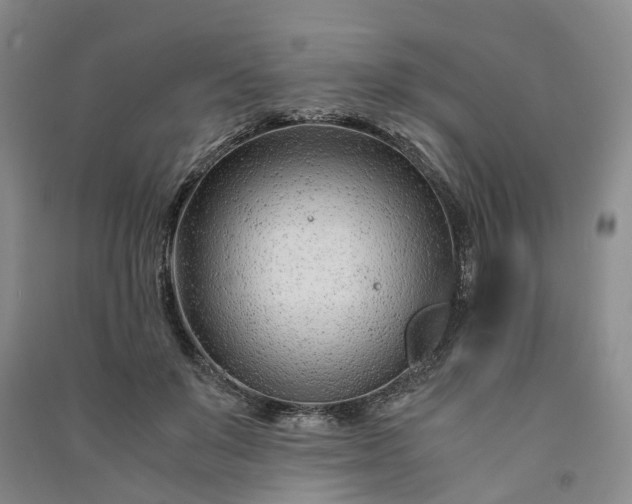 X0000090960503200708161818