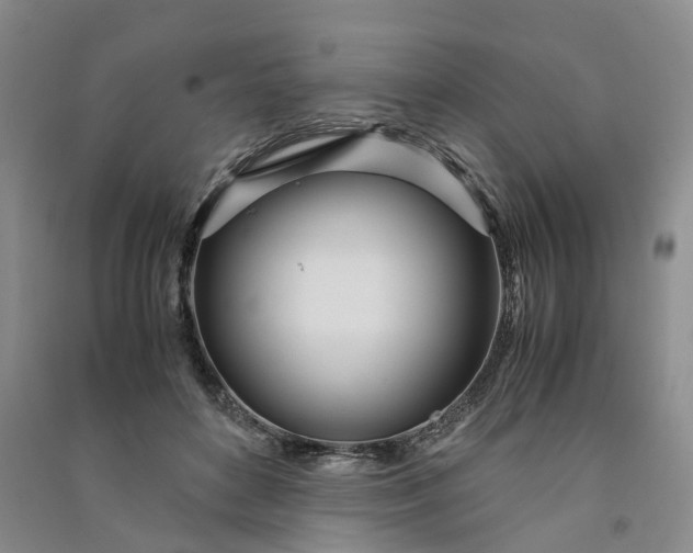 X0000090960504200708161818