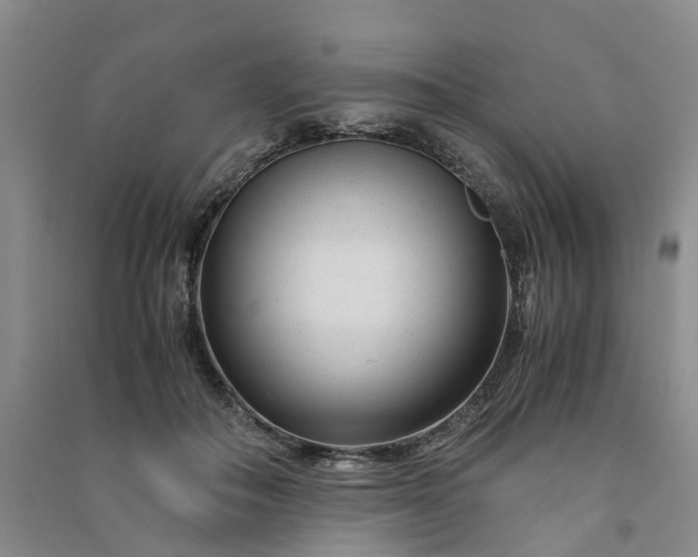 X0000090960506200708161818