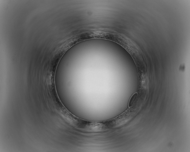 X0000090960514200708161818