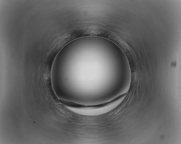 X0000090960517200708161818