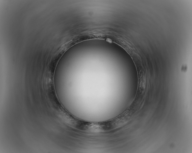 X0000090960518200708161818