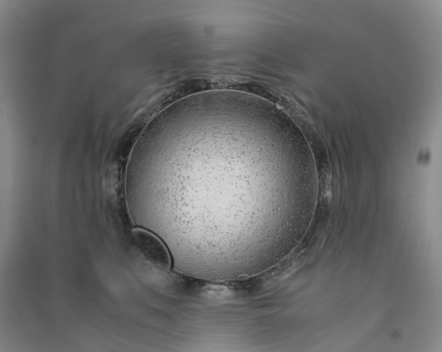 X0000090960519200708161818