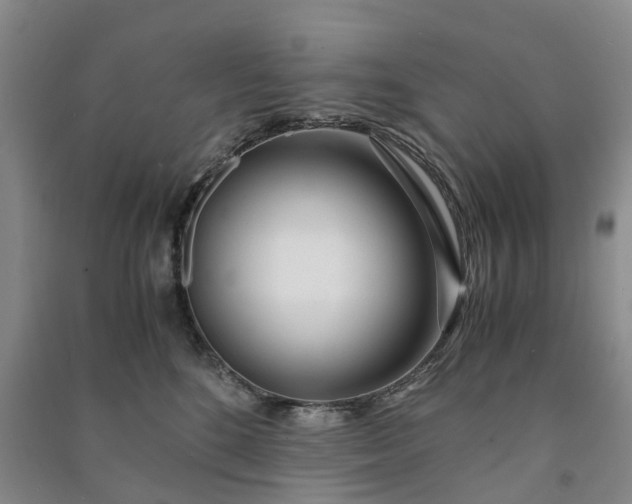 X0000090960520200708161818