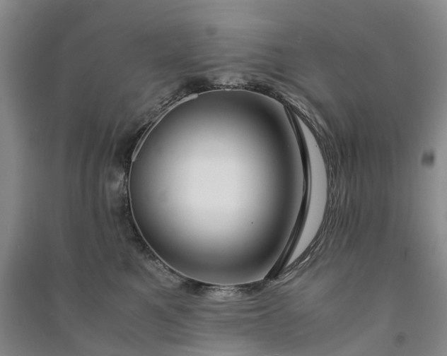 X0000090960521200708161818