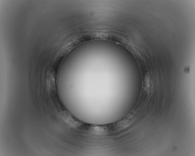 X0000090960522200708161818