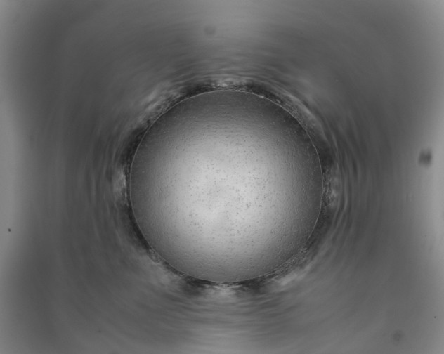 X0000090960523200708161818