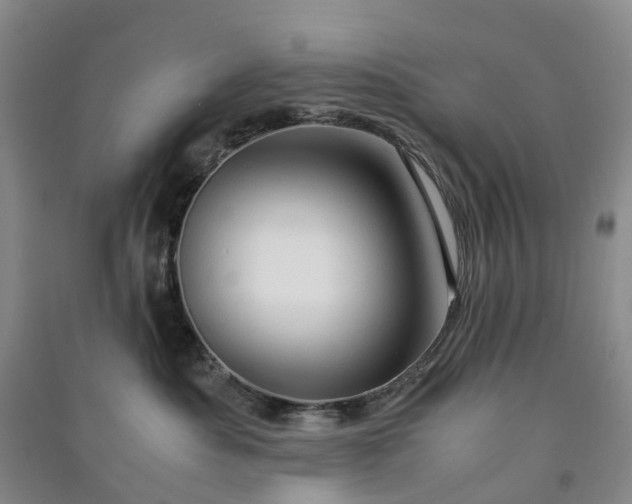 X0000090960525200708161818