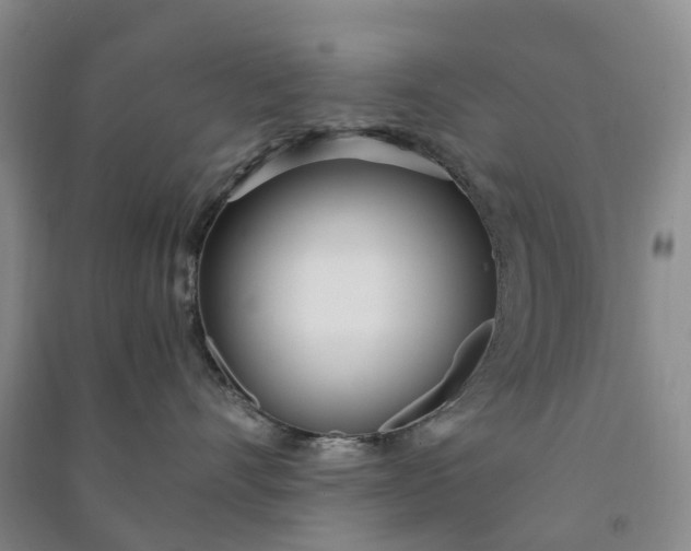X0000090960528200708161818