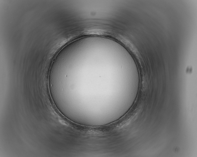 X0000090960529200708161817
