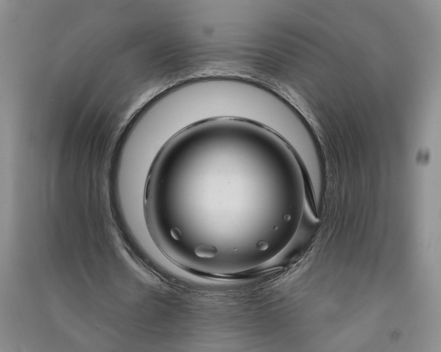 X0000090960530200708161817