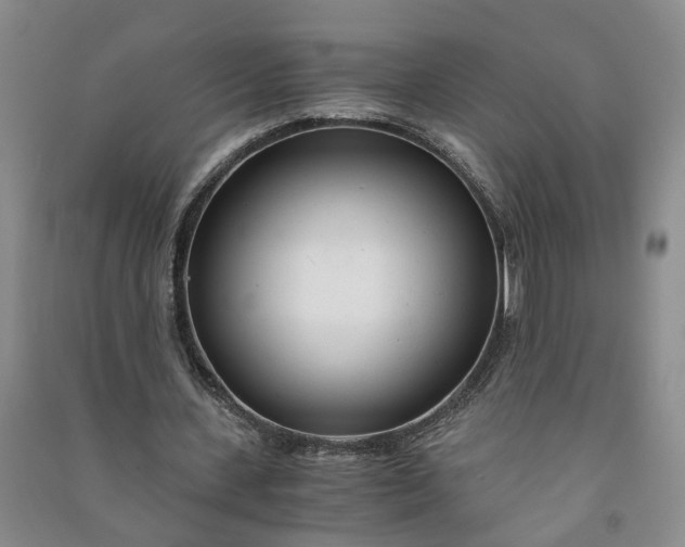 X0000090960531200708161817