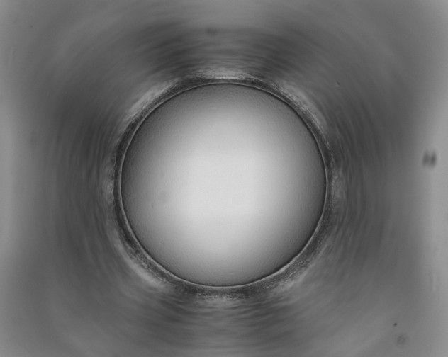 X0000090960533200708161817
