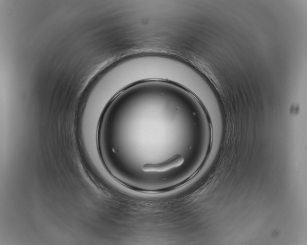 X0000090960534200708161817
