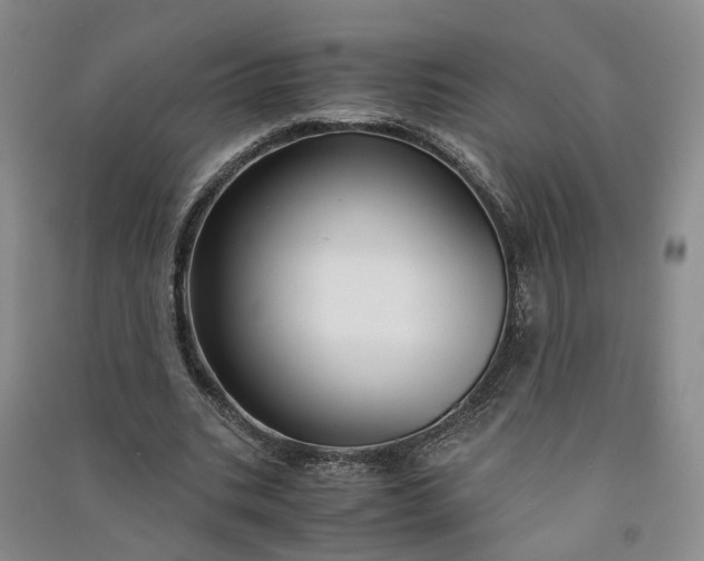 X0000090960535200708161817