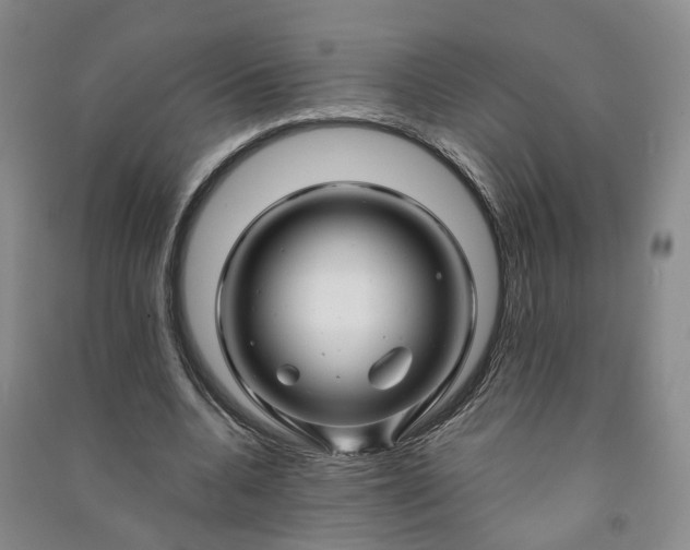 X0000090960536200708161817