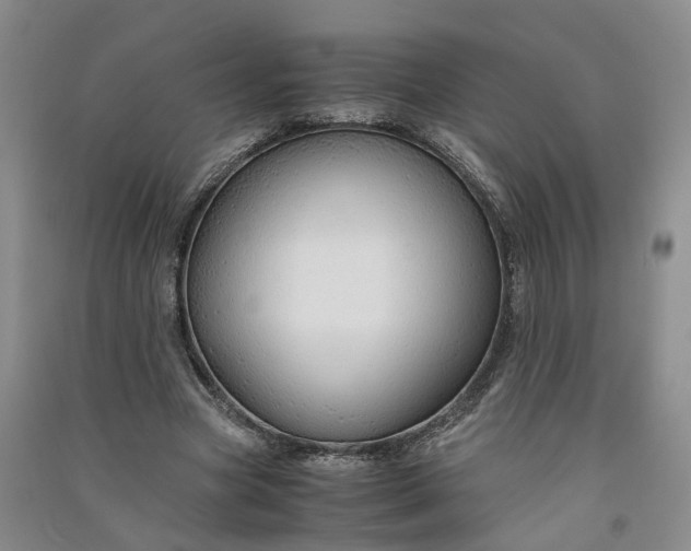 X0000090960537200708161817
