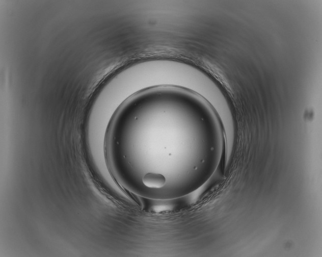 X0000090960538200708161817