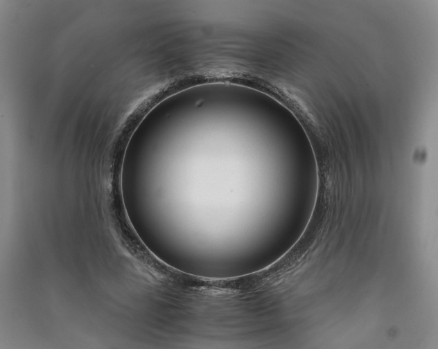 X0000090960539200708161817