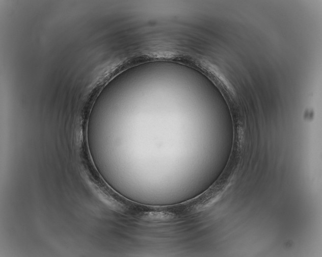 X0000090960541200708161817