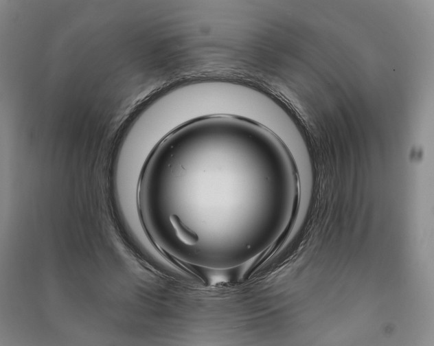 X0000090960542200708161817