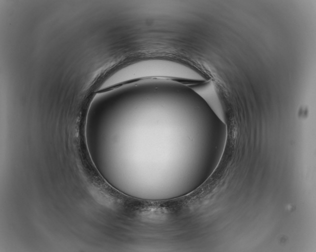 X0000090960543200708161817