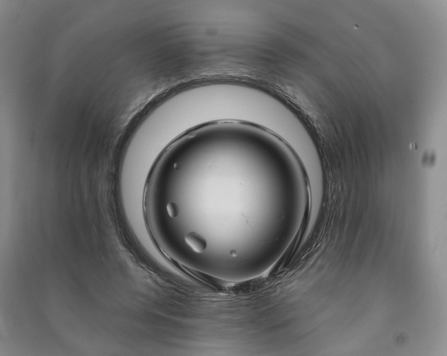 X0000090960544200708161817