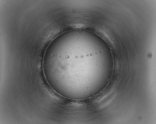 X0000090960545200708161817