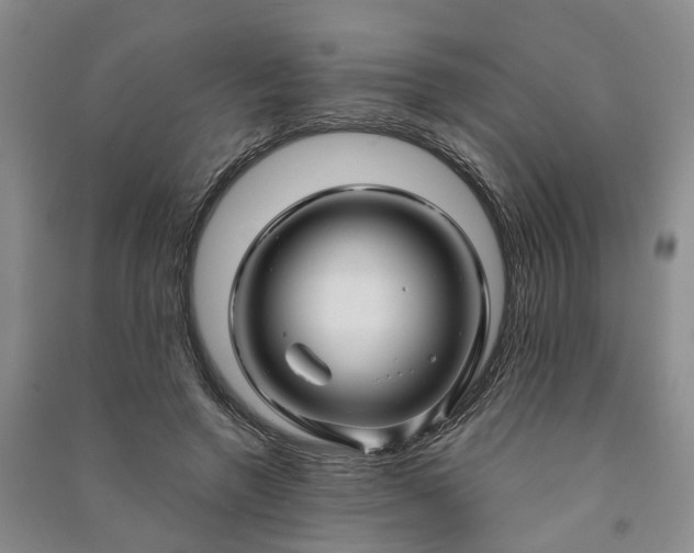 X0000090960546200708161817