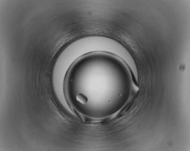 X0000090960548200708161817