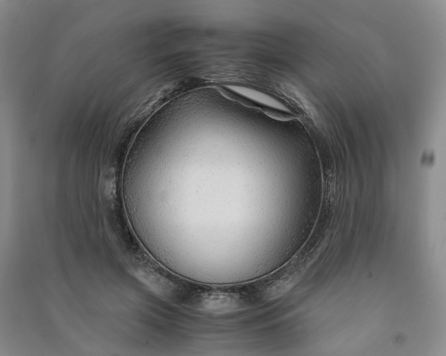 X0000090960549200708161818