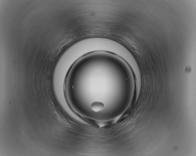 X0000090960550200708161818