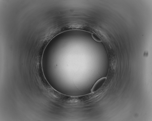 X0000090960551200708161818