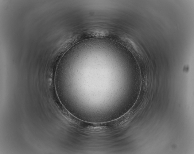 X0000090960553200708161818
